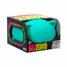Load image into Gallery viewer, Cool Cats NeeDoh
