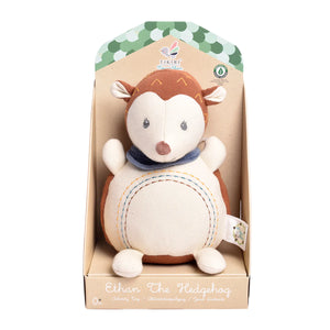 Ethan the Hedgehog Activity Toy