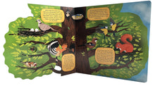 Load image into Gallery viewer, Discovering The World of Bird Nests
