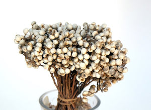 Tallow Berries