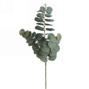 Green Foliage Branch