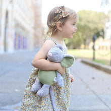 Load image into Gallery viewer, Classic Baby Mouse Organic Toy
