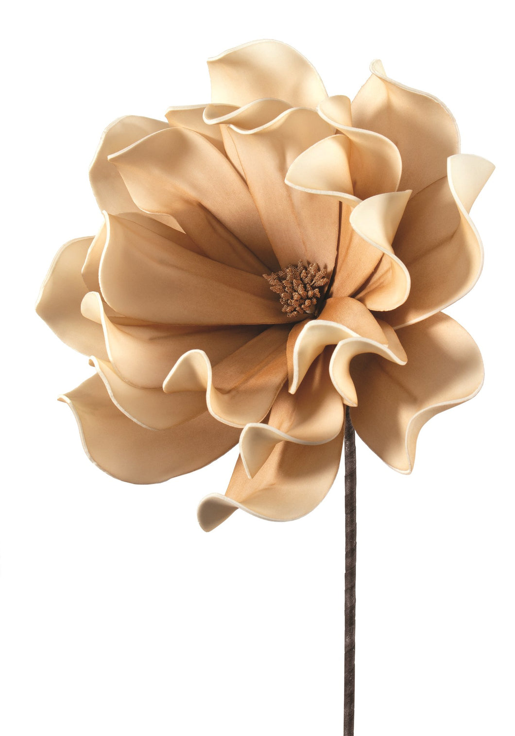 Cream Floral Spray
