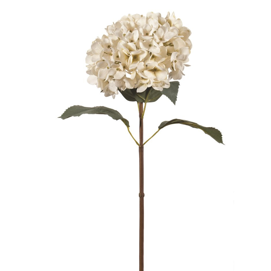 Ivory Hydrangea Stem