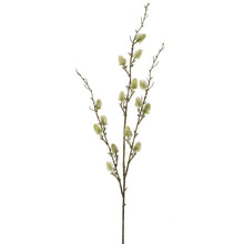 Load image into Gallery viewer, Green Pussy Willow Spray
