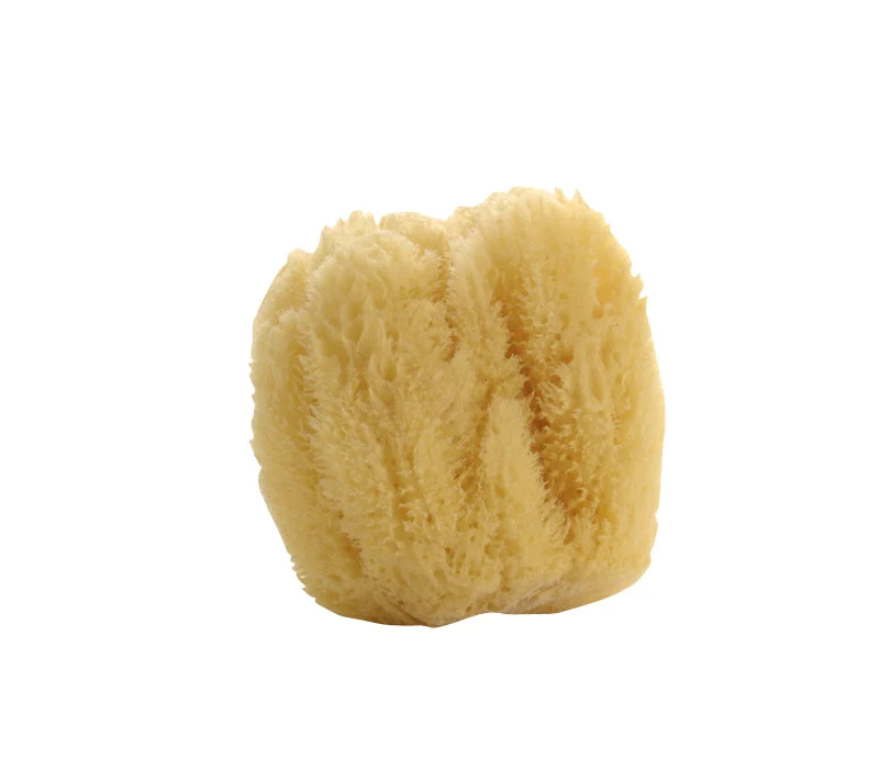 Natural Sea Sponge, Large