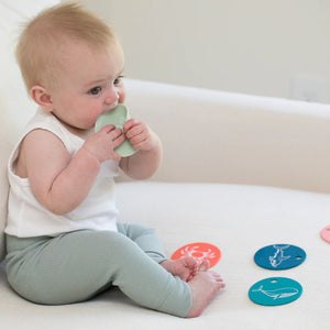 Under The Sea Teething Flash Cards by Bella Tunno