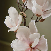 Load image into Gallery viewer, Magnolia Willow Counter Top Spray by Thymes
