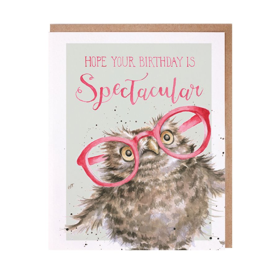 Spectacular Owl Birthday Card