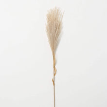 Load image into Gallery viewer, Wheat Coloured Feathery Reed
