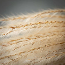 Load image into Gallery viewer, Wheat Coloured Feathery Reed
