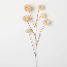 Load image into Gallery viewer, Cream Coloured Faux Dried Pods
