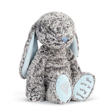 Load image into Gallery viewer, Benjamin Bunny Plush Toy
