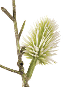 Green Pussy Willow Spray