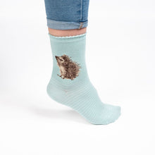 Load image into Gallery viewer, Hedgehugs Hedgehog Ladies Socks
