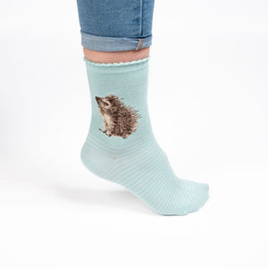 Hedgehugs Hedgehog Ladies Socks