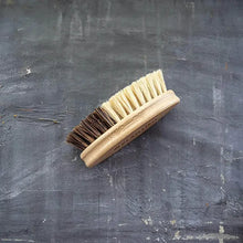 Load image into Gallery viewer, Plantish Sisal &amp; Palm Vegetable Brush
