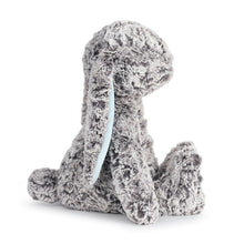 Load image into Gallery viewer, Benjamin Bunny Plush Toy
